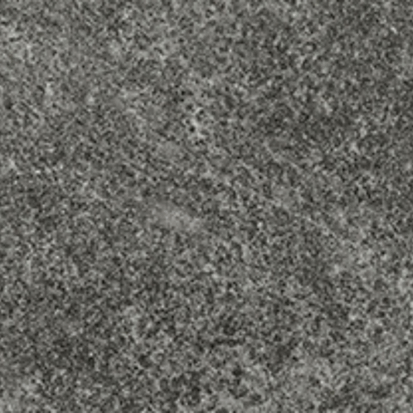 Grand Place Porcelain